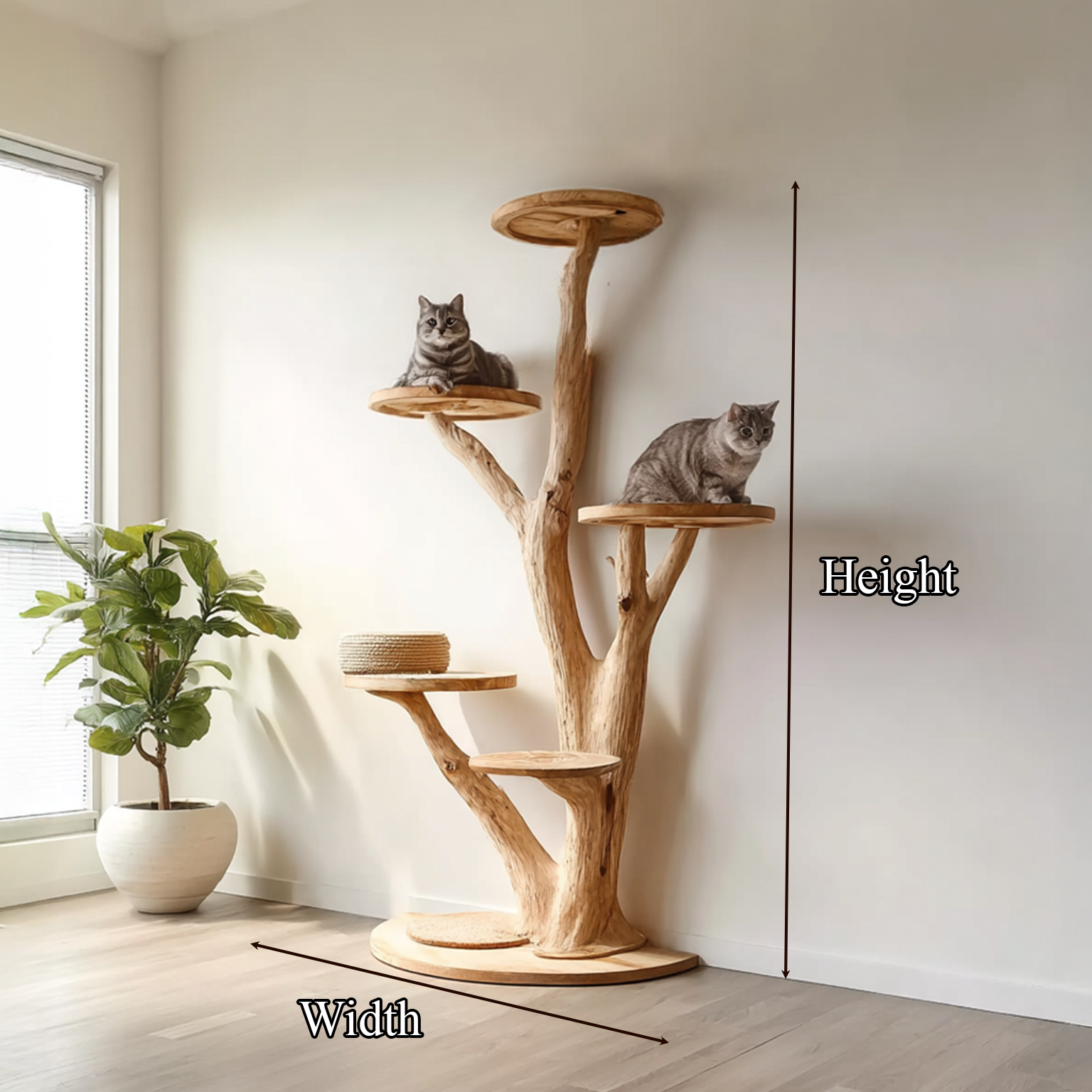 Rustic Tree Cat Tower Living Bedroom